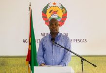 Chapo Launches Agricultural Campaign Chapo Launches Agricultural Campaign