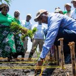 Mozambique Projects 3.4 Million Tonnes Cereal Output Mozambique Projects 3.4 Million Tonnes Cereal Output