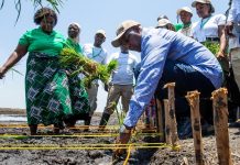 Mozambique Projects 3.4 Million Tonnes Cereal Output Mozambique Projects 3.4 Million Tonnes Cereal Output