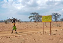 Mozambique Classifies 397 Sites as Heritage of Struggle Mozambique Classifies 397 Sites as Heritage of Struggle