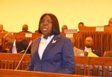 Mozambique Aims to Cut State Borrowing Needs After Reforms Mozambique Aims to Cut State Borrowing Needs After Reforms