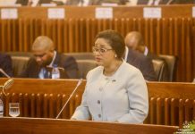 Mozambique Gas Revenues Reach Nearly $70 Million Mozambique Gas Revenues Reach Nearly $70 Million