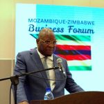 Investment Between Mozambique and Zimbabwe Remains Low Investment Between Mozambique and Zimbabwe Remains Low