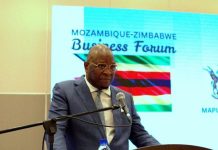 Investment Between Mozambique and Zimbabwe Remains Low Investment Between Mozambique and Zimbabwe Remains Low