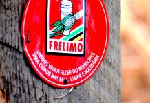 Frelimo Calls for Cahora Bassa Energy at Real Value Frelimo Calls for Cahora Bassa Energy at Real Value