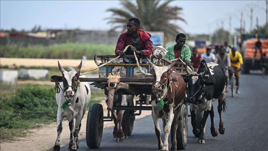 UN Warns of Deepening Protection Crisis in Mozambique UN Warns of Deepening Protection Crisis in Mozambique