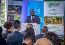 Mozambique Seeks Private Investment for Conservation Areas Mozambique Seeks Private Investment for Conservation Areas