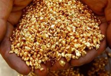 Mozambique Set for Record Gold Production in 2026 Mozambique Set for Record Gold Production in 2026