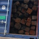Five Detained for Illegal Timber Transport in Tete Five Detained for Illegal Timber Transport in Tete