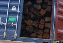 Five Detained for Illegal Timber Transport in Tete Five Detained for Illegal Timber Transport in Tete