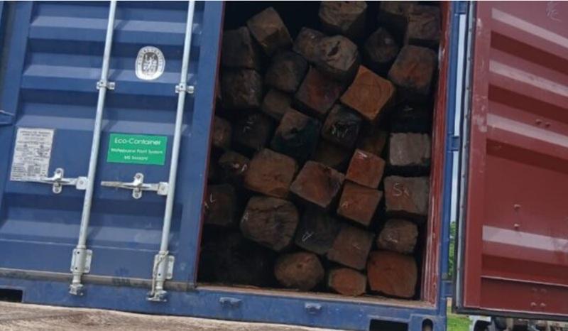 Five Detained for Illegal Timber Transport in Tete Five Detained for Illegal Timber Transport in Tete