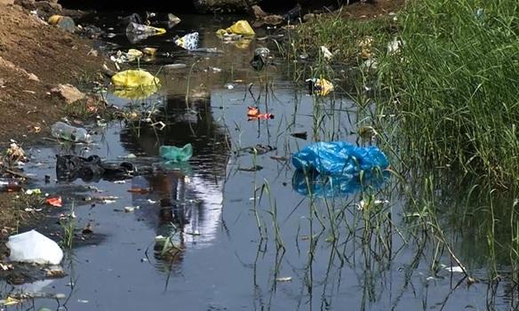 Former Health Minister Critiques Malaria Control Strategy Former Health Minister Critiques Malaria Control Strategy