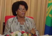 SADC TROIKA HOLDS SUMMIT ON MADAGASCAR SADC TROIKA HOLDS SUMMIT ON MADAGASCAR
