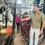 Gaza Province Becomes Biofuel Hub with Cashew Exports Gaza Province Becomes Biofuel Hub with Cashew Exports