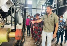 Gaza Province Becomes Biofuel Hub with Cashew Exports Gaza Province Becomes Biofuel Hub with Cashew Exports