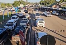 Over 30,000 Travelers Cross from South Africa to Mozambique Over 30,000 Travelers Cross from South Africa to Mozambique