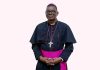 Pope Leo XIV Establishes Diocese in Mozambique Pope Leo XIV Establishes Diocese in Mozambique