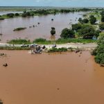 Seven dead in Sofala storms Seven dead in Sofala storms