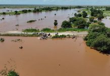 Seven dead in Sofala storms Seven dead in Sofala storms