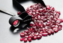 Mining Firm Calls for Measures against Illegal Ruby Miners Mining Firm Calls for Measures against Illegal Ruby Miners
