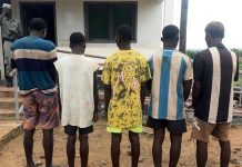 Five Accused of Faking Terrorist Attacks in Metuge Five Accused of Faking Terrorist Attacks in Metuge