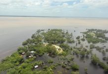 UK Teams Aid Flood Response in Mozambique UK Teams Aid Flood Response in Mozambique
