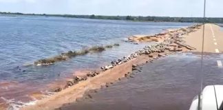 Vehicle traffic to Macaneta remains prohibited Vehicle traffic to Macaneta remains prohibited