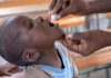 Cholera Vaccination Resumes in Mozambique After Four Years Cholera Vaccination Resumes in Mozambique After Four Years