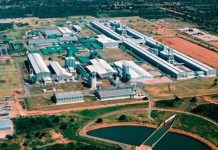 Mozambique Government Works to Sustain Key Industry Mozambique Government Works to Sustain Key Industry