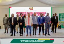US$2 Million for Micro and Small Businesses in Cabo Delgado US$2 Million for Micro and Small Businesses in Cabo Delgado