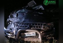 Driver Hospitalized After Car Hits Elephant in Mozambique Driver Hospitalized After Car Hits Elephant in Mozambique
