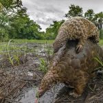 Tourism halted in Limpopo National Park Tourism halted in Limpopo National Park