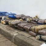 Suspect Arrested After 120 Bundles of Suruma Seized Suspect Arrested After 120 Bundles of Suruma Seized