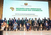 Africa should “Speak with one Voice”, Says PM Africa should “Speak with one Voice”, Says PM