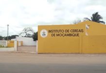Mozambique Prepares Cereal Import Mechanisms After Centralization Mozambique Prepares Cereal Import Mechanisms After Centralization
