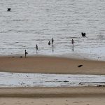 Mozambique Troops Accused of Killing Fishermen Mozambique Troops Accused of Killing Fishermen