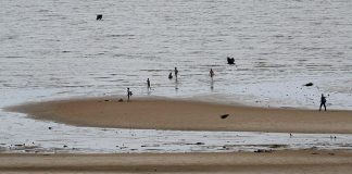 Mozambique Troops Accused of Killing Fishermen Mozambique Troops Accused of Killing Fishermen