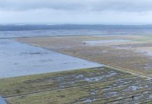 Maragra Sugar Mill Restart Delayed Two Years Maragra Sugar Mill Restart Delayed Two Years