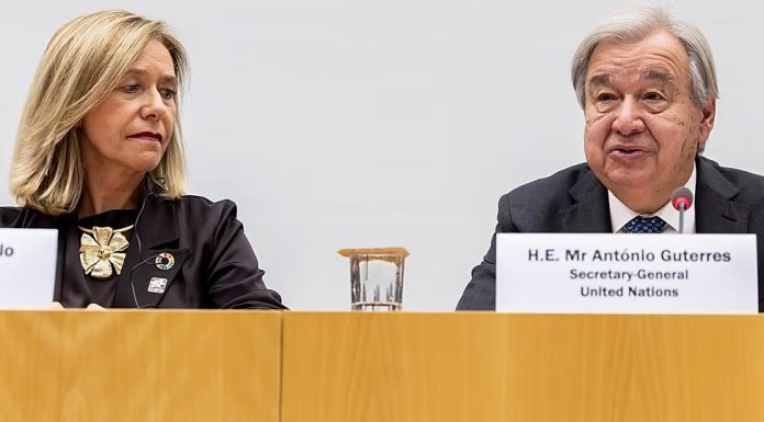 World experiences hottest 11 years on record, WMO warns World experiences hottest 11 years on record, WMO warns