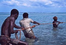 Fish and Seafood Exports Drop 18% in 2025 Fish and Seafood Exports Drop 18% in 2025