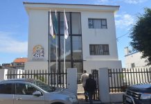 Esménia Mualeia Appointed to National Election Commission Esménia Mualeia Appointed to National Election Commission