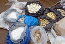 4.4 tonnes of drugs seized in 2025 4.4 tonnes of drugs seized in 2025