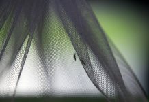 Malaria Deaths in Mozambique Rise to Nearly 500 in 2025 Malaria Deaths in Mozambique Rise to Nearly 500 in 2025