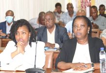 Mozambique Health Ministry Launches New Planning Programme Mozambique Health Ministry Launches New Planning Programme