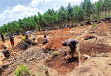 Tragic Mine Collapse in Manica Claims Ten Lives Tragic Mine Collapse in Manica Claims Ten Lives