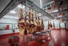 Mozambican Parliament Invites Russian Meat Investment Mozambican Parliament Invites Russian Meat Investment