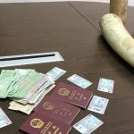 Chinese Citizen Arrested with 200 Kilograms Ivory Chinese Citizen Arrested with 200 Kilograms Ivory