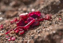 Mozambique’s Ruby Production Exceeds Five Million Carats Mozambique's Ruby Production Exceeds Five Million Carats