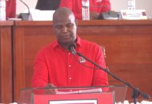 Mozambique’s Early IMF Debt Repayment: A Strategic Move Mozambique's Early IMF Debt Repayment: A Strategic Move