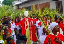 Archbishop of Beira Resigns, New Apostolic Administrator App Archbishop of Beira Resigns, New Apostolic Administrator App